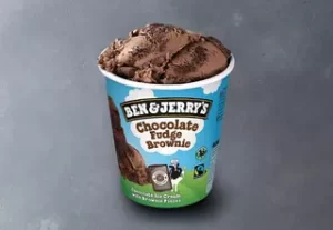 1101-des-chocolate-fudge-brownie